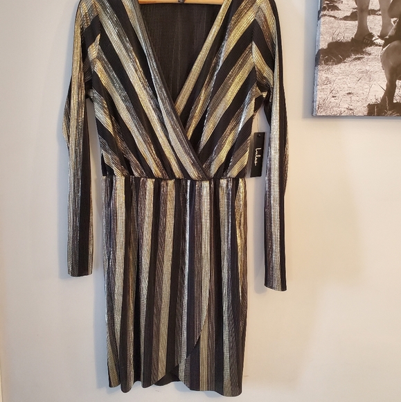 Size large, short, sexy dress from Lulus - Picture 4 of 7